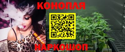 прущие грибы Пушкино