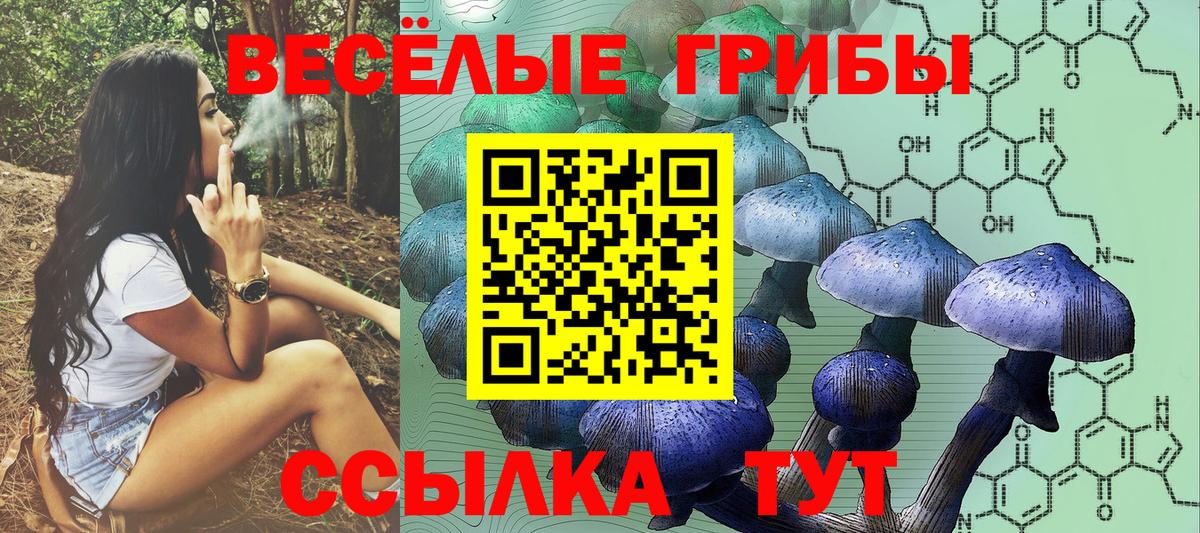Галлюциногенные грибы Magic Shrooms Первоуральск